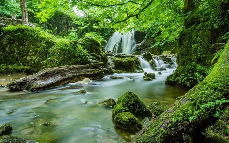 精密可靠性高性能
